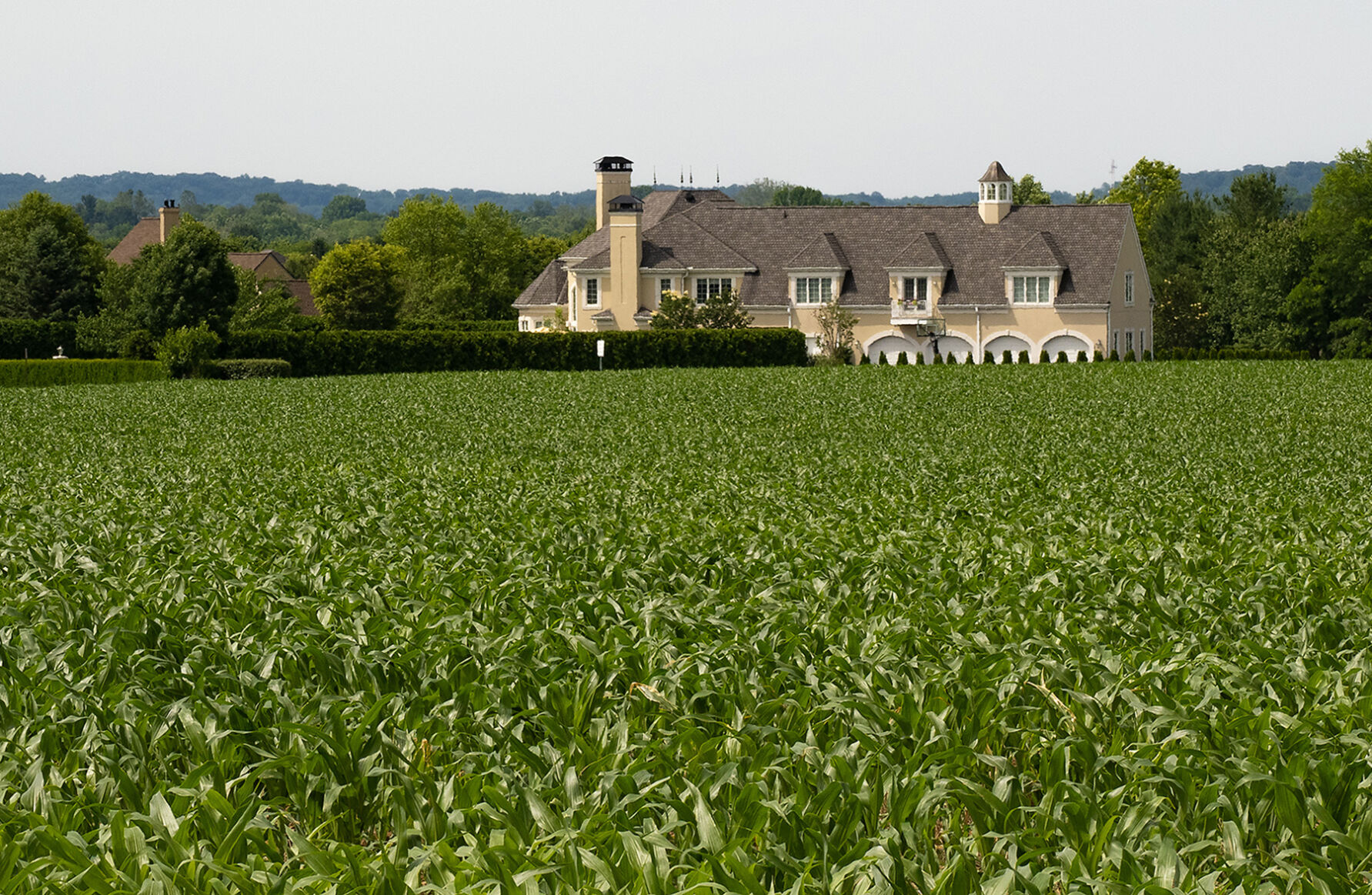 New homes next to farmland